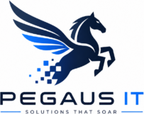 Pegasus IT